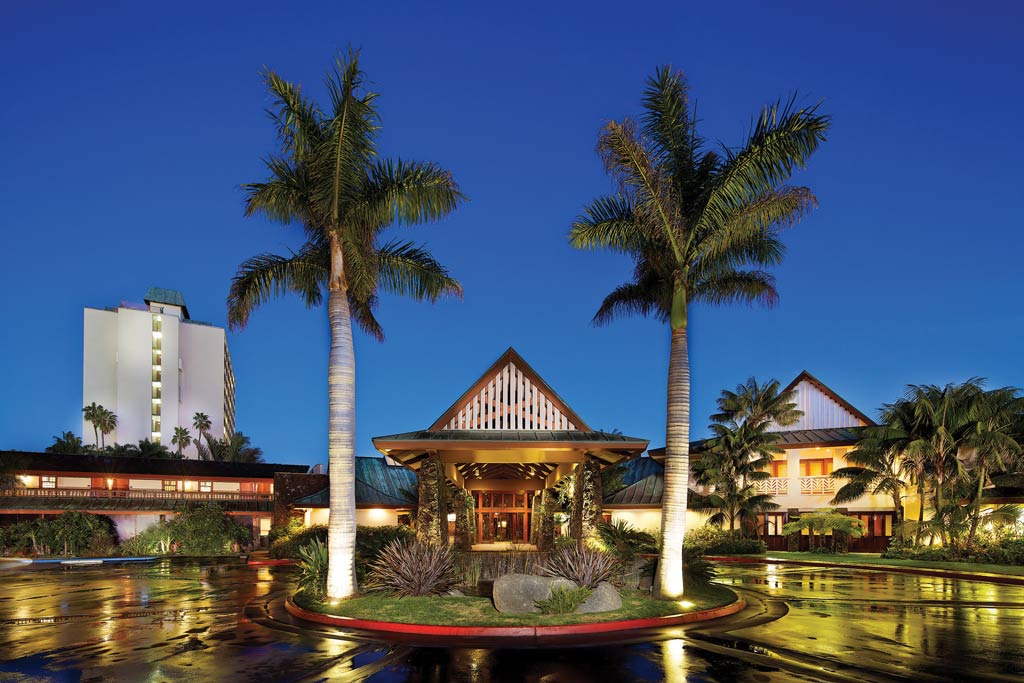 The tropical forest - Oasis Hotels & Resorts